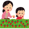 千葉でいちご狩りでおすすめの人気農園